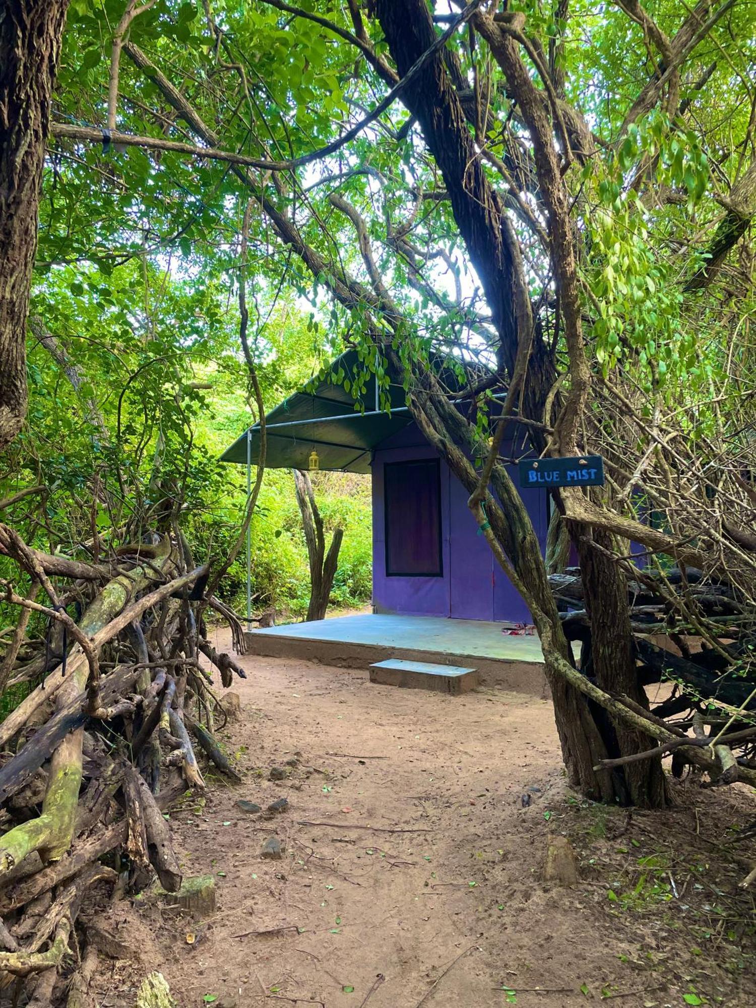 Yala Eco Bush Camp Hotel Kültér fotó