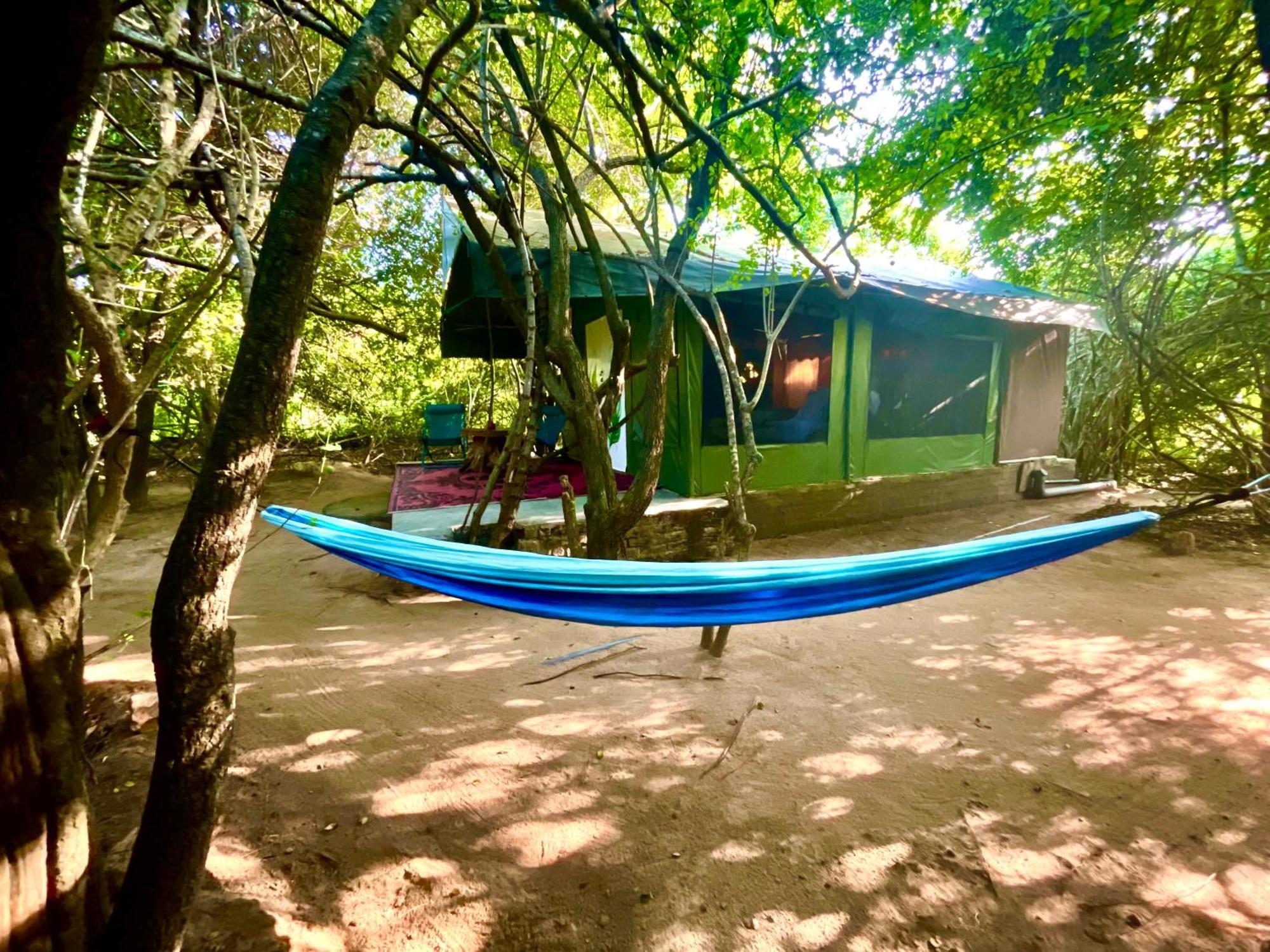 Yala Eco Bush Camp Hotel Kültér fotó